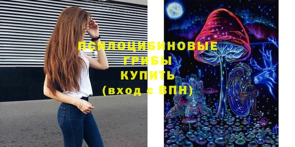 ГАЛЛЮЦИНОГЕННЫЕ ГРИБЫ Нязепетровск