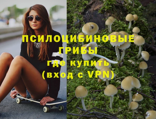 ECSTASY Новодвинск