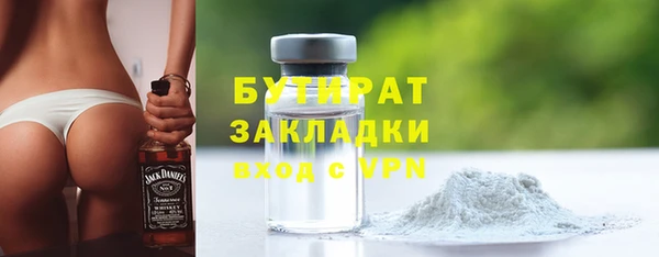 твердый Бородино