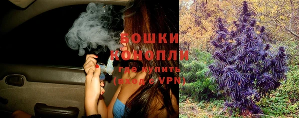 ECSTASY Новодвинск