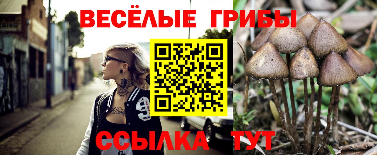 Лосино-Петровский  Псилоцибиновые грибы Cubensis  Вход с VPN  Галлюциногенные грибы Psilocybine cubensis 